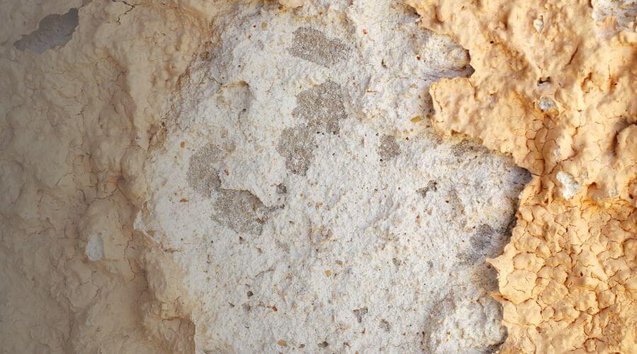 Why choose water damage restoration service for commercial water damage restoration in Brooklyn